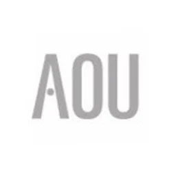 AOU 대학아마추어오케스트라연합